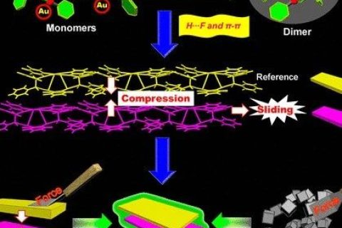 控制AIEgen晶體的分子運(yùn)動(dòng)，實(shí)現(xiàn)力致發(fā)光