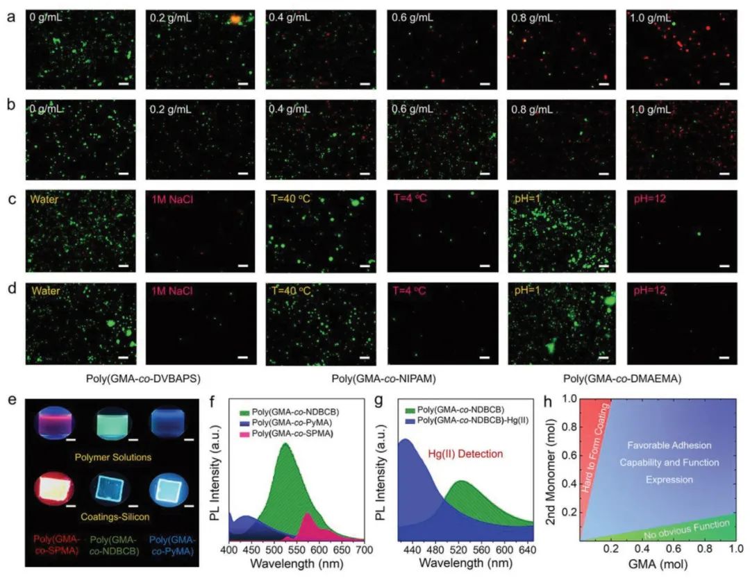 浙江工業(yè)大學楊晉濤《AFM》：表面涂層領域新突破！一種可控功能化聚合物表面的通用涂層策略