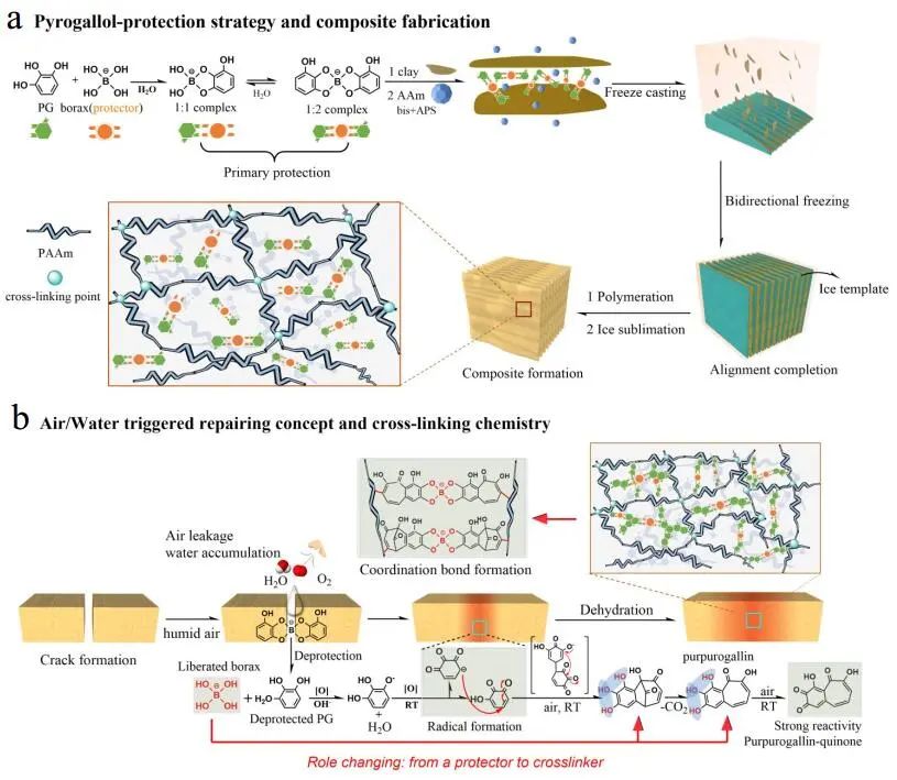 江漢大學(xué)曹一平《ACS Nano?》：仿生新成果！響應(yīng)空氣-水的復(fù)合材料，具有優(yōu)異的隔熱、自修復(fù)和自生長能力