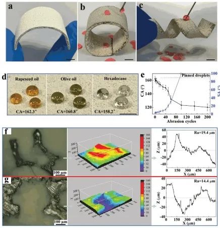 清華大學(xué)鄭泉水院士團(tuán)隊(duì)《AFM》：耐磨損、耐沖擊、自清潔的超疏水/超疏油微納復(fù)合材料