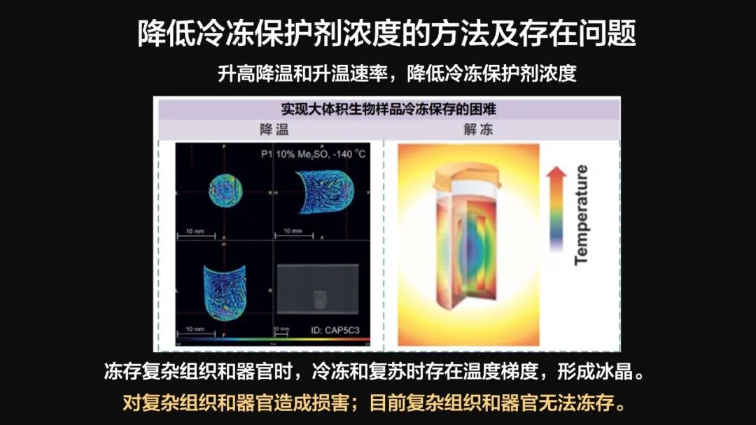 王健君：實證百年科學猜想，人體凍存未來可期