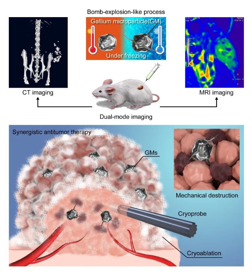 《AFM》：發(fā)現(xiàn)液態(tài)金屬凍結微爆破現(xiàn)象及其增強腫瘤殺傷與MRI-CT雙模態(tài)成像機制