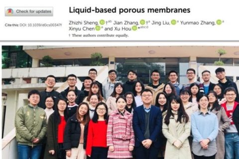 廈門大學(xué)侯旭課題組綜述：液基多孔膜，微納孔道藏世界，液體門控通乾坤！