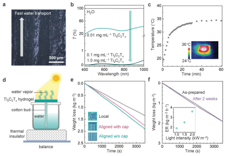 ?清華大學李春《ACS Nano》：純MXene水凝膠基質(zhì)