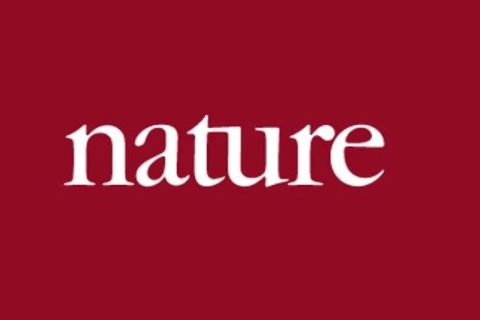 《Nature》子刊：仿昆蟲表皮的膽甾型圖案設(shè)計用于密碼學標簽！