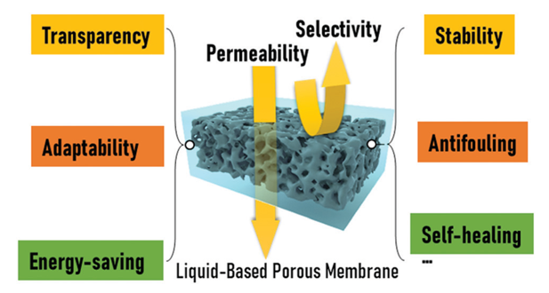 廈門大學(xué)侯旭課題組綜述：液基多孔膜，微納孔道藏世界，液體門控通乾坤！