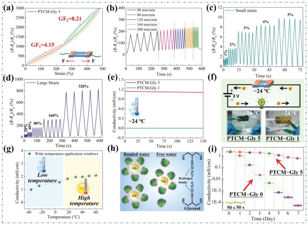 華南理工大學(xué)陳港團隊《AFM》：MXene基抗凍超穩(wěn)定導(dǎo)電有機水凝膠