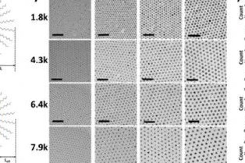 韓國(guó)科學(xué)技術(shù)院《ACS Nano》：手把手教你花樣制備納米粒子！