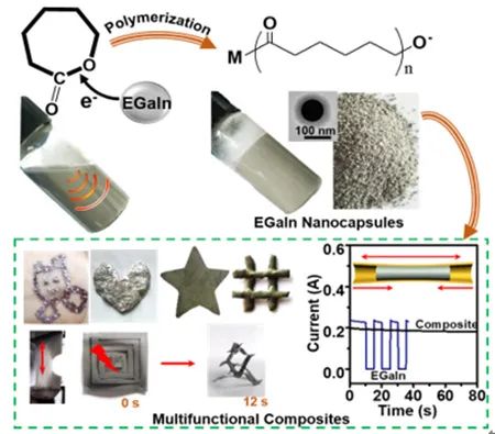青島能源所李朝旭團(tuán)隊(duì)《AM》:利用液態(tài)金屬引發(fā)開(kāi)環(huán)聚合制備多功能液態(tài)金屬納米膠囊