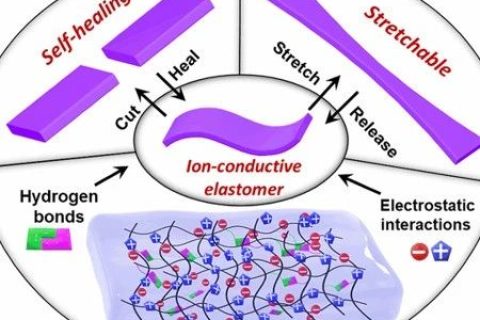 ?不依賴于壓力的觸摸傳感器！可自修復(fù)的純固態(tài)、無(wú)液體、可拉伸、高彈性離子導(dǎo)體