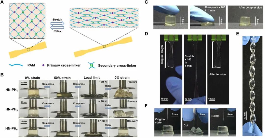 《Science》子刊：高強(qiáng)度、高韌性、可快速回復(fù)的水凝膠?