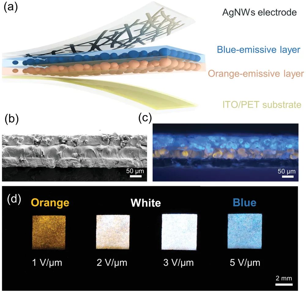 復旦大學彭慧勝/孫雪梅團隊《AFM》：介電設計助力實時調(diào)控器件發(fā)光