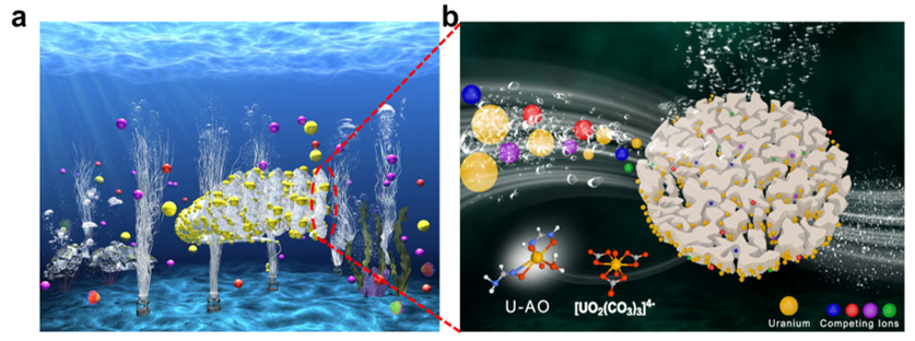 中科院上海應物所《JMCA》：海水提鈾取得新進展！