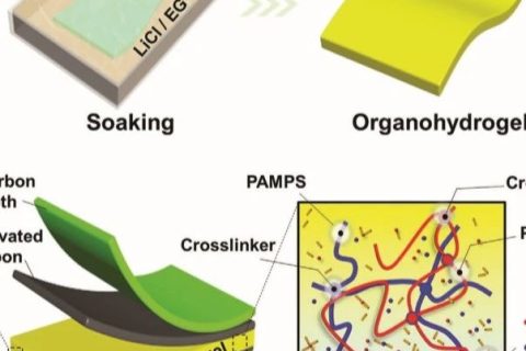 電子設(shè)備怕凍又怕燙怎么辦？中南大學(xué)《AFM》：長期抗凍抗干的柔性超級電容器！