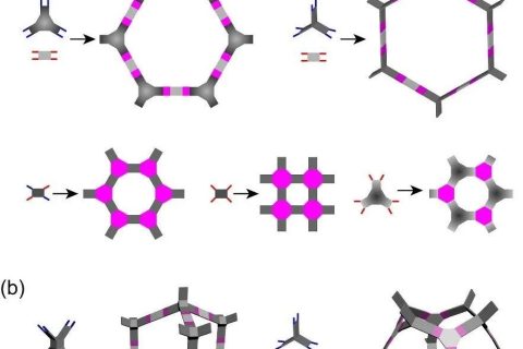 方磊《Chem》綜述：多孔網(wǎng)絡梯狀聚合物