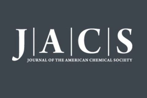 短的比長的好！鮑哲南院士《JACS》：基于新型多位點柔性高分子自組裝單元的納米纖維