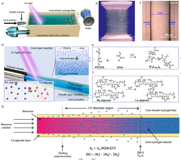 東華大學(xué)朱美芳院士《NSR》：大規(guī)模制備高性能的生物相容光纖的新方法
