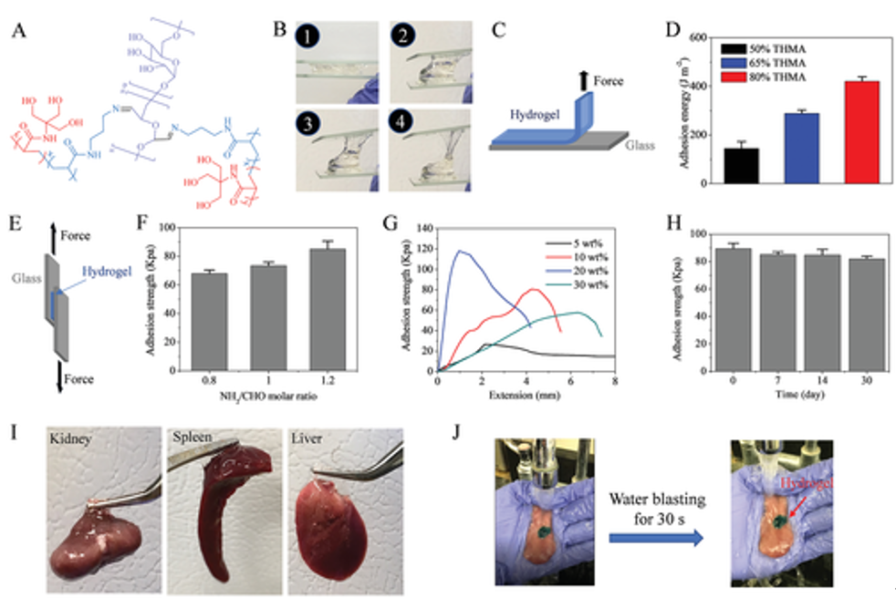 沒有化學(xué)反應(yīng)也能粘合！《AM》：具有“分擔(dān)負(fù)荷”作用的粘性水凝膠，可作為組織繃帶用于藥物和細(xì)胞的輸送。