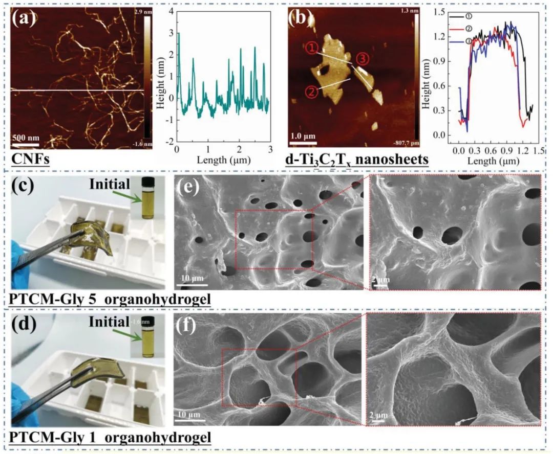 華南理工大學(xué)陳港團隊《AFM》：MXene基抗凍超穩(wěn)定導(dǎo)電有機水凝膠