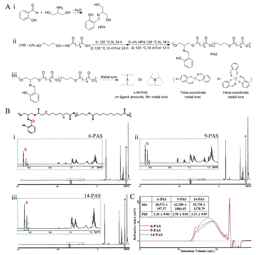 康奈爾大學(xué)王亞冬團隊《AM》：螯合交聯(lián)制備生物可降解彈性體