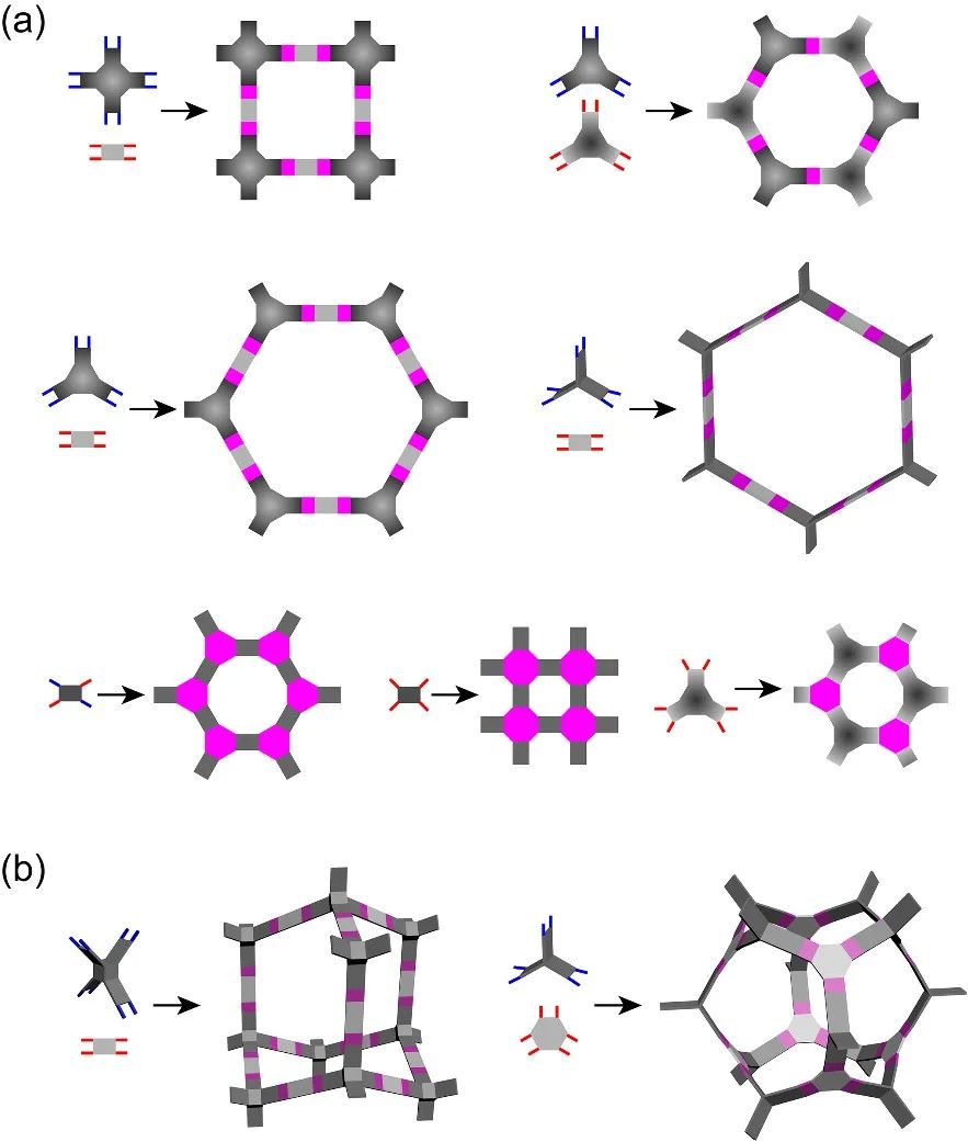 方磊《Chem》綜述：多孔網(wǎng)絡梯狀聚合物