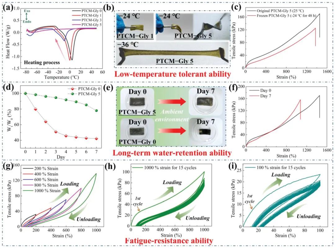 華南理工大學(xué)陳港團隊《AFM》：MXene基抗凍超穩(wěn)定導(dǎo)電有機水凝膠