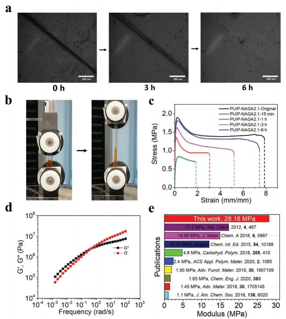 天津大學劉文廣教授、楊建海副教授團隊《AFM》：基于多重氫鍵擴鏈劑的自愈合聚氨酯：從超剛性彈性體到無溶劑型熱熔膠和AIE熒光涂層