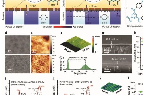 ?當(dāng)前最高的離子截留率99.99%！《AFM》：超選擇性和高滲透性聚酰胺納米膜！