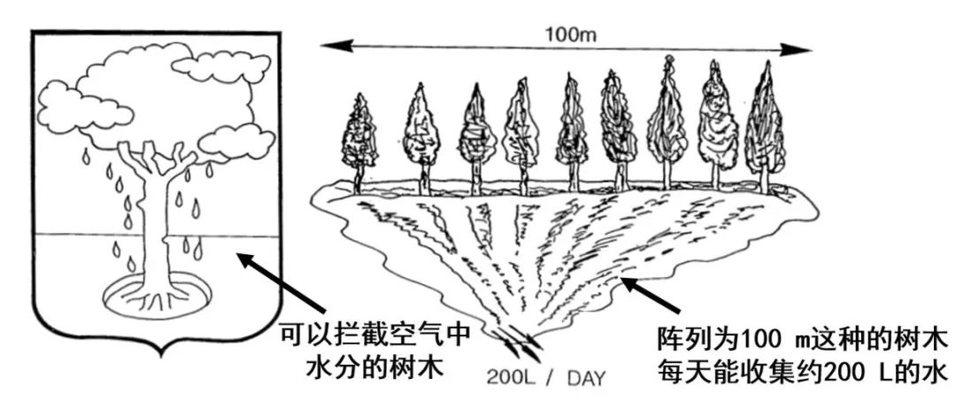 天津大學(xué)曹墨源：仿生霧水收集——向天空尋求解決淡水危機(jī)的方法