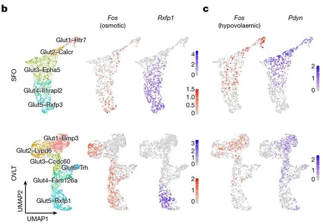 向優(yōu)秀看齊，南開大學本科生發(fā)《Nature》！