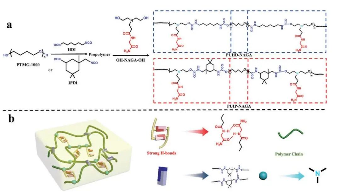 天津大學劉文廣教授、楊建海副教授團隊《AFM》：基于多重氫鍵擴鏈劑的自愈合聚氨酯：從超剛性彈性體到無溶劑型熱熔膠和AIE熒光涂層