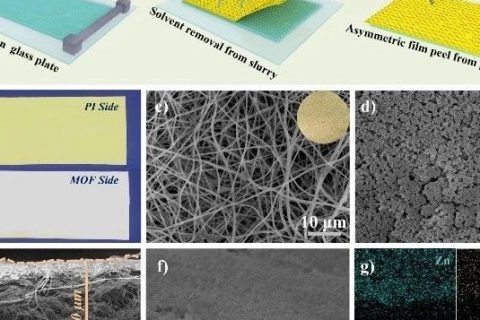 ?北京科技大學(xué)范麗珍教授團(tuán)隊《AFM》：借助MOF層構(gòu)建非對稱聚合物固體電解質(zhì)用于鋰金屬電池