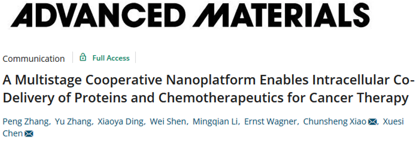 陳學(xué)思院士團(tuán)隊(duì)《AM》： 構(gòu)建多級(jí)合作的納米平臺(tái)用于蛋白質(zhì)/化療藥物的胞內(nèi)共遞送