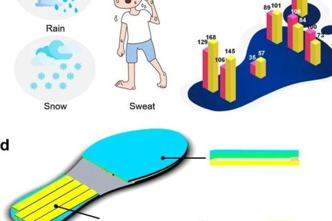 這只“鞋墊”不簡(jiǎn)單，登上《ACS Nano》！三校聯(lián)合開(kāi)發(fā)出不怕潮濕、可發(fā)電的智能鞋墊