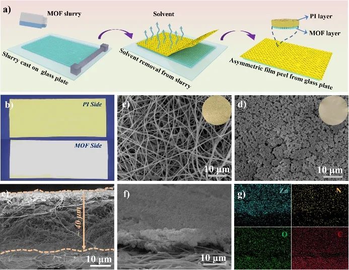 ?北京科技大學范麗珍教授團隊《AFM》：借助MOF層構建非對稱聚合物固體電解質用于鋰金屬電池