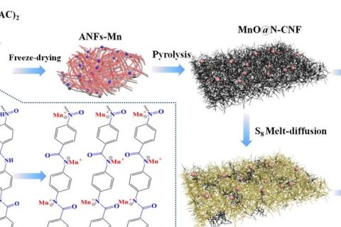 上海電力大學(xué)《JMCA》:如何簡(jiǎn)單有效地原位復(fù)合碳纖維和金屬納米顆粒？一種可用于超級(jí)電容器和鋰硫宿主的雙功能材料