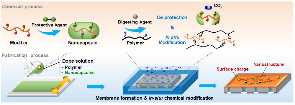 南京工業(yè)大學(xué)孫世鵬《Nano Letters》:“納米封裝”同步實現(xiàn)納濾膜的納米結(jié)構(gòu)構(gòu)筑和原位功能化
