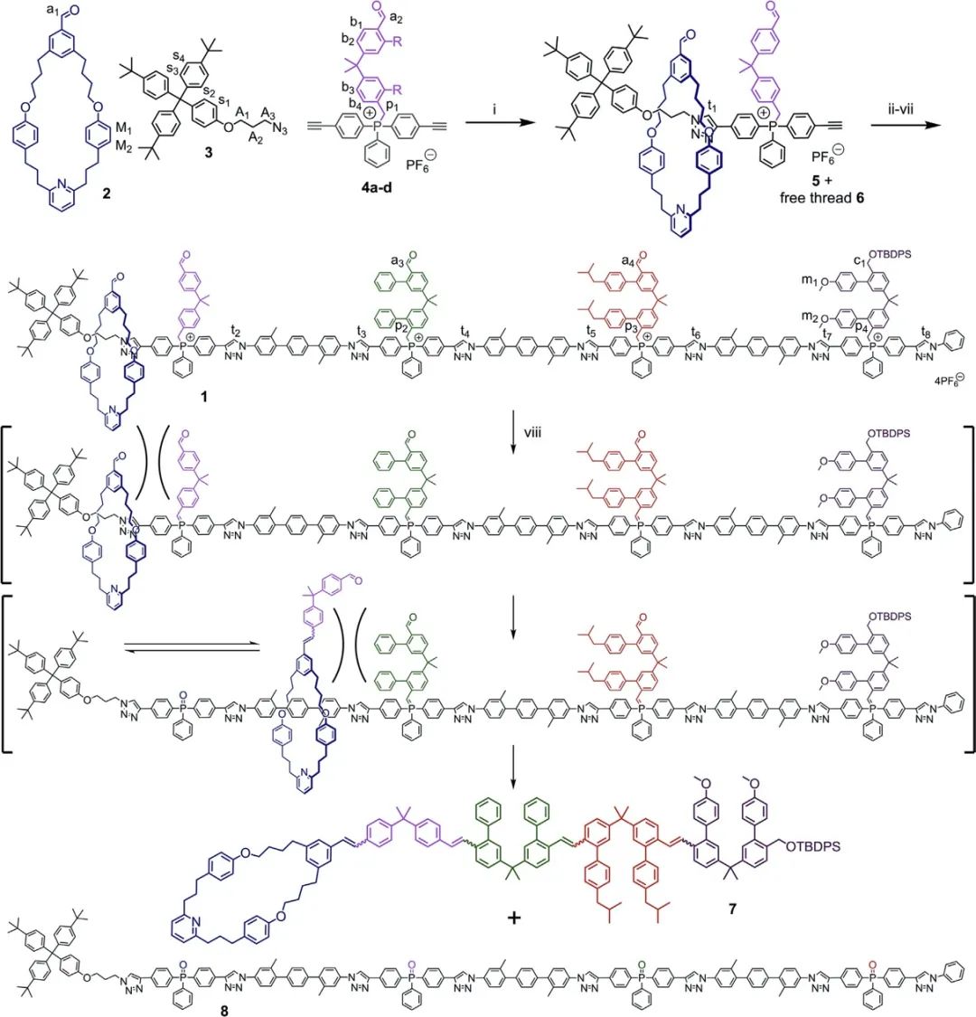 英國(guó)曼徹斯特大學(xué)Leigh院士《Chem》：分子機(jī)器精準(zhǔn)“生產(chǎn)”單序列低聚物