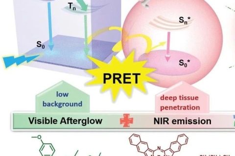 李振、李倩倩團隊《AM》：從室溫磷光到近紅外發(fā)光，實現(xiàn)高信噪比余輝成像