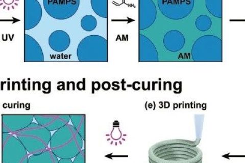 《AFM》：3D打印制造高強韌雙網絡顆粒水凝膠