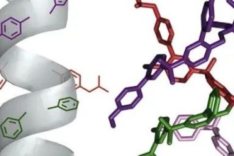 英國曼徹斯特大學(xué)Leigh院士《Chem》：分子機器精準(zhǔn)“生產(chǎn)”單序列低聚物