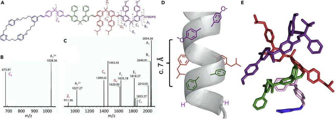 英國(guó)曼徹斯特大學(xué)Leigh院士《Chem》：分子機(jī)器精準(zhǔn)“生產(chǎn)”單序列低聚物