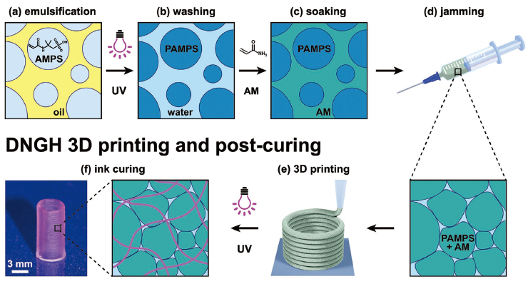 《AFM》：3D打印制造高強(qiáng)韌雙網(wǎng)絡(luò)顆粒水凝膠