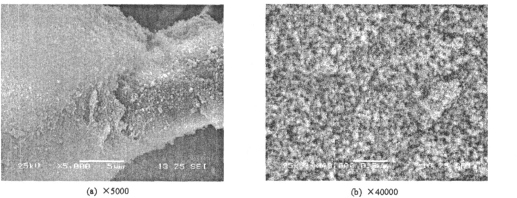 纖維增強SiO<sub>2</sub>氣凝膠隔熱復合材料的制備及其性能