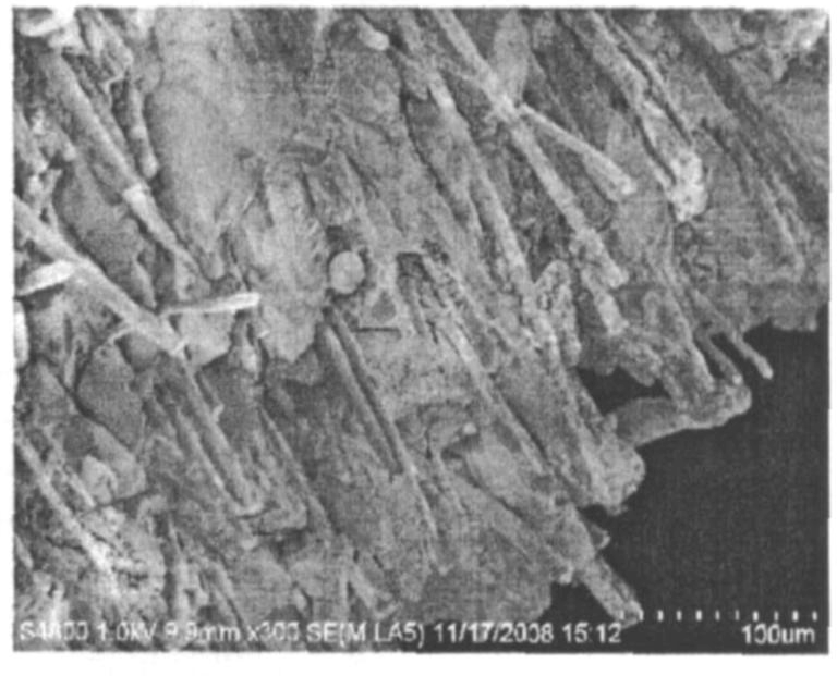 纖維增強SiO<sub>2</sub>氣凝膠隔熱復合材料的制備及其性能