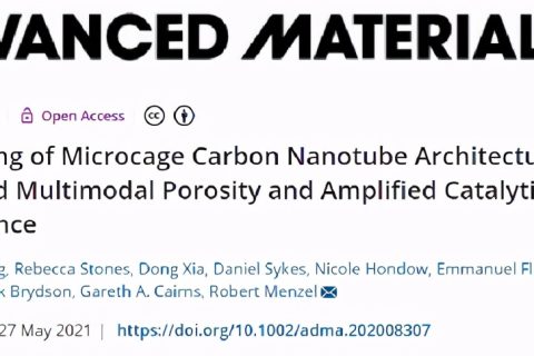 多模態(tài)孔隙率/增強催化/微籠碳納米管氣凝膠