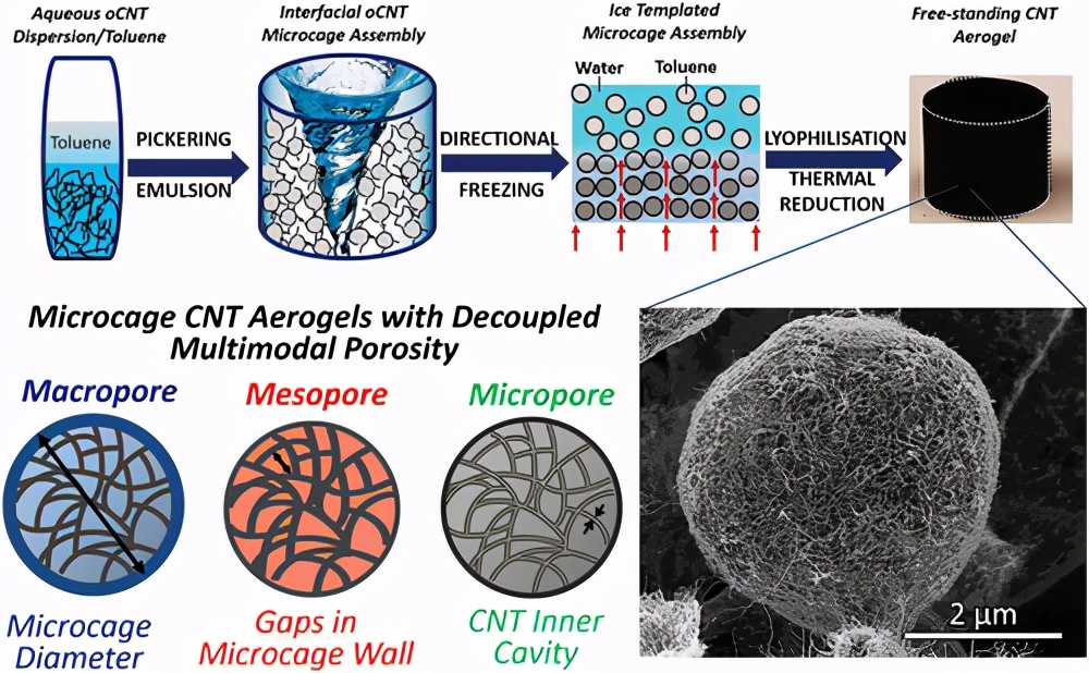 多模態(tài)孔隙率/增強(qiáng)催化/微籠碳納米管氣凝膠