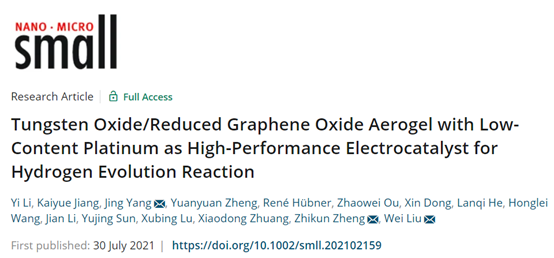 中山大學楊靜/劉衛(wèi)：低含量Pt氣凝膠作為析HER的高性能電催化劑-1