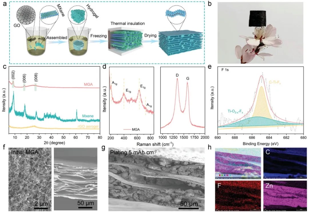 MXene/石墨烯氣凝膠支架！實現(xiàn)可折疊的穩(wěn)定鋅負(fù)極