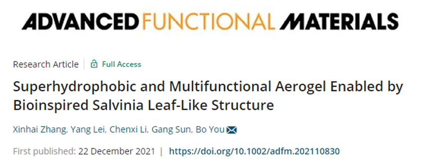 復(fù)旦大學(xué)游波教授《AFM》：仿生丹參葉狀結(jié)構(gòu)的超疏水多功能氣凝膠！